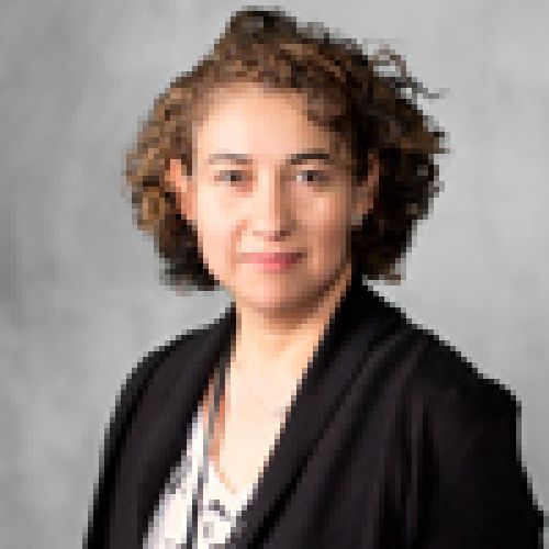 Yolanda I&nbsp;Cueva,&nbsp;CPE - Electrologist